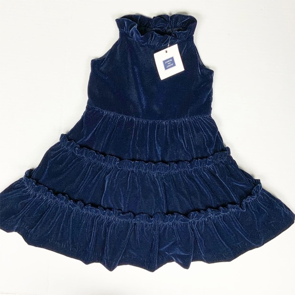 Janie and Jack Other - HOLIDAY DRESS NWT JANIE & JACK VELVET DRESS, SIZE 6-12 MONTHS